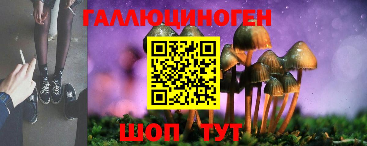 Тайшет  Псилоцибиновые грибы Psilocybine cubensis  Вход с VPN 